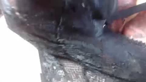 Mature lover2 online show from 27, 2, 2025