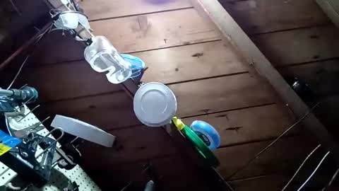 Snapshot of lowtidehightide chatting on 25, 11, 2025 lowtidehightide online show from 25, 11, 2025