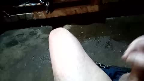 lowtidehightide online show from 11, 1, 2026