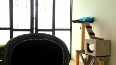 Snapshot of luara__01__lecat_1 chatting on 24, 11, 2025 luara__01__lecat_1 online show from 24, 11, 2025