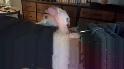 lubthemtitties online show from 22, 12, 2024