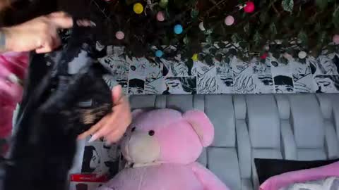 Snapshot of lucyrosse_ chatting on 18, 7, 2026 Lucy online show from 18, 7, 2026