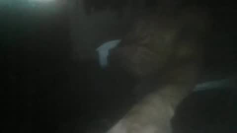 Snapshot of luizs23 chatting on 5, 11, 2025 luizs23 online show from 5, 11, 2025