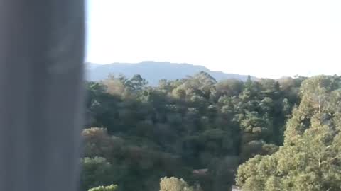 luke online show from 8, 12, 2024