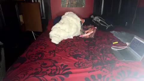 Snapshot of lulu_only_fans chatting on 14, 2, 2025 Lulu online show from 14, 2, 2025