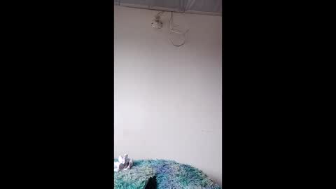 luna ember online show from 21, 12, 2025