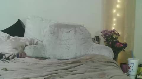 lunanova4 online show from 4, 3, 2026