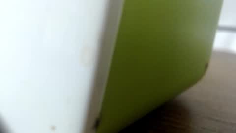 luna online show from 5, 10, 2025