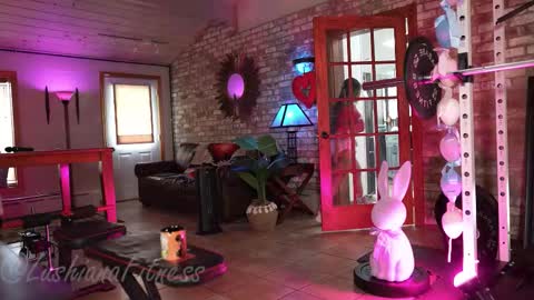 SHOWS ALL MONDAY WEDNESDAYFRIDAYSATURDAY  IN THE MORNING online show from 26, 3, 2026