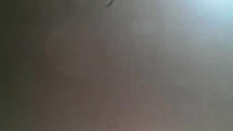 Bee Bee online show from 25, 3, 2026