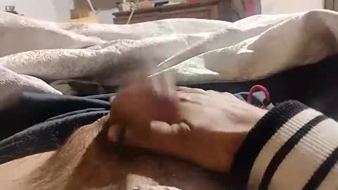 Lvac11 online show from 6, 1, 2025