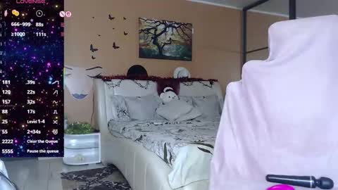 Palma online show from 22, 12, 2025