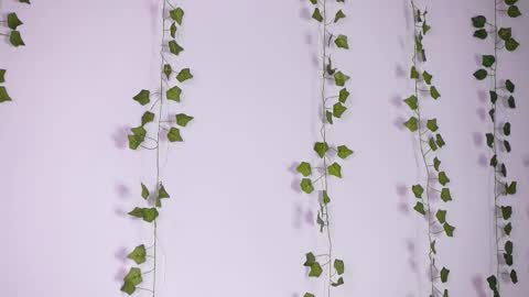 Lyly   online show from 27, 9, 2025