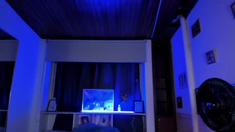 Lyssa  Everyday From 0700 to 1630 Col Time online show from 14, 1, 2025