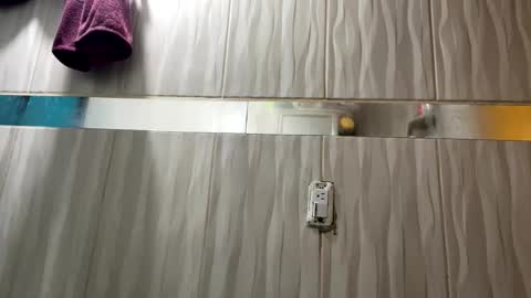 Snapshot of m0ntana777 chatting on 6, 3, 2026 m0ntana777 online show from 6, 3, 2026