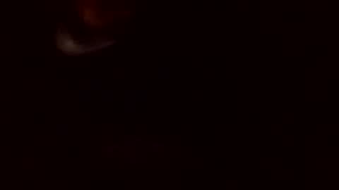 m46162328 online show from 20, 4, 2026