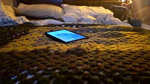 MARCUSNYX online show from 6, 4, 2026