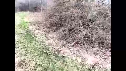 ma747047 online show from 6, 4, 2026