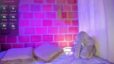   online show from 13, 2, 2025