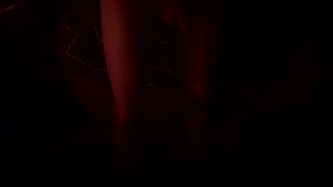 Snapshot of macsammacfuck833109 chatting on 31, 10, 2025 slyshyguy69 online show from 31, 10, 2025