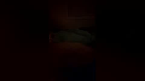 Snapshot of macsammacfuck833109 chatting on 21, 12, 2025 slyshyguy69 online show from 21, 12, 2025