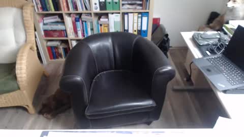 Mad4You online show from 12, 12, 2024