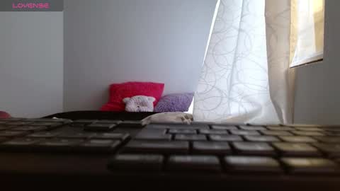    online show from 9, 12, 2024