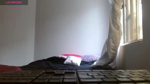    online show from 13, 12, 2024