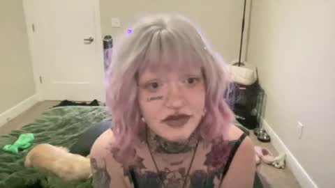 Mae online show from 23, 7, 2026