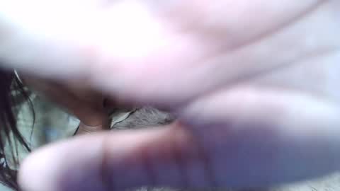 Snapshot of maegold69 chatting on 23, 1, 2025 maegold69 online show from 23, 1, 2025