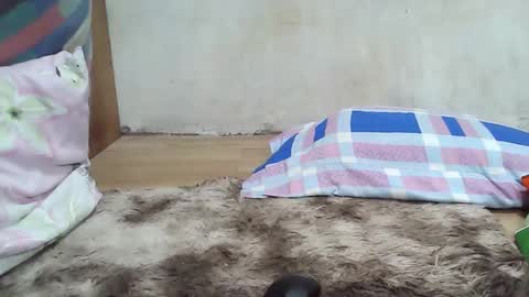 maegold69 online show from 8, 1, 2026