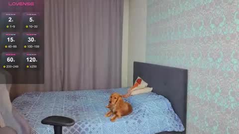 Snapshot of magic_shy chatting on 9, 11, 2025 Merry online show from 9, 11, 2025