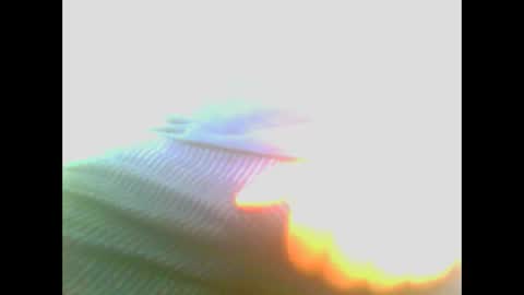 maioris6 online show from 22, 2, 2025