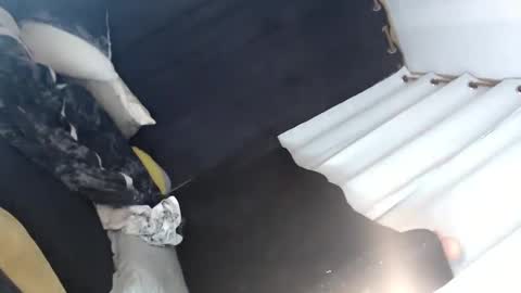 Snapshot of majestic_princesslei chatting on 12, 1, 2025 Lei online show from 12, 1, 2025