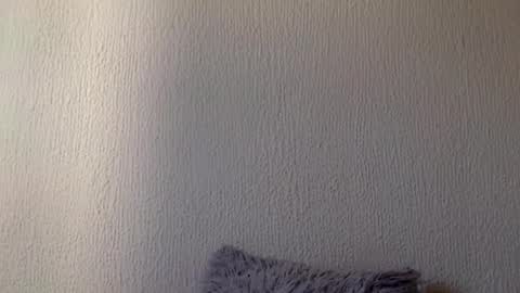 majo_gomezz online show from 20, 3, 2026