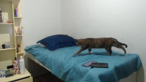 MAKENNAA online show from 12, 3, 2025