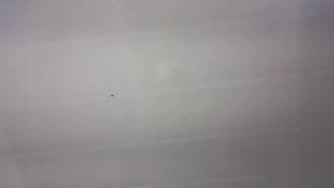 malen_fitnessmilf online show from 22, 3, 2026