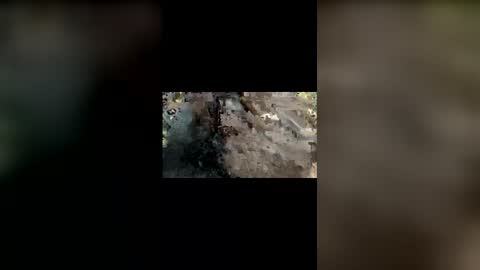 Mallubull online show from 25, 11, 2025