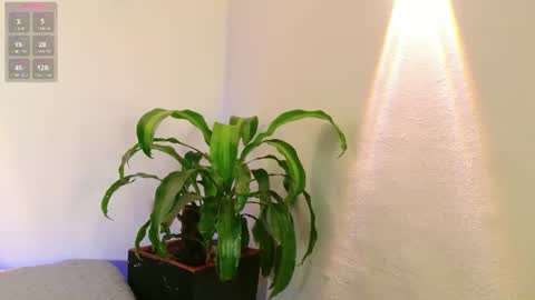 Snapshot of mandyminx66 chatting on 18, 7, 2026 Mandy Val online show from 18, 7, 2026