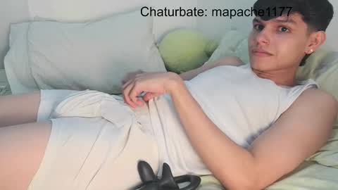 Snapshot of mapache1177 chatting on 26, 2, 2026 mapache1177 online show from 26, 2, 2026