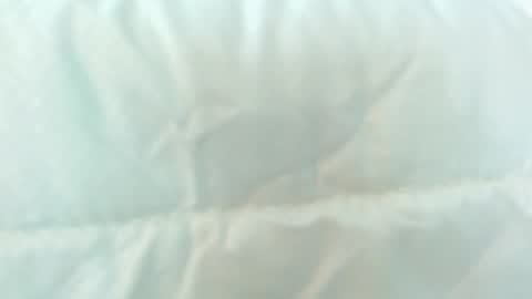   online show from 5, 1, 2025