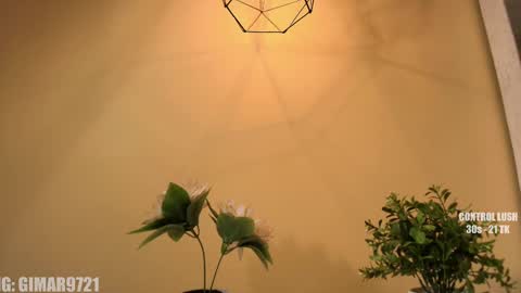 Snapshot of marcela_davila1 chatting on 11, 9, 2025 Marcela online show from 11, 9, 2025