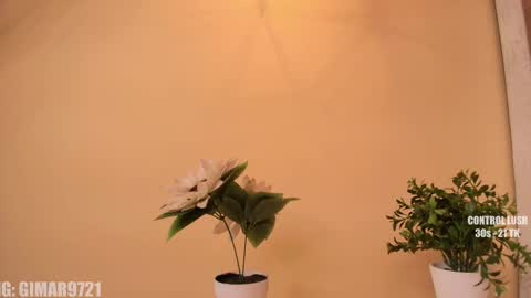 Snapshot of marcela_davila1 chatting on 29, 9, 2025 Marcela online show from 29, 9, 2025