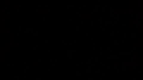 Elle online show from 19, 10, 2025