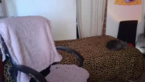Snapshot of mariaajuana_ chatting on 21, 7, 2026 mariaajuana_ online show from 21, 7, 2026