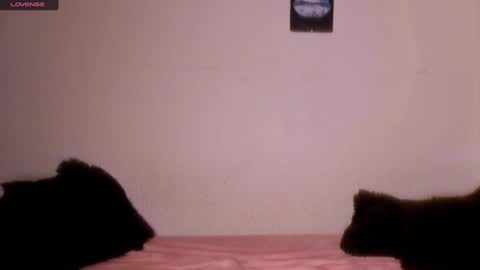 mariana williams online show from 31, 1, 2025