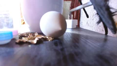 LEAH online show from 1, 3, 2025