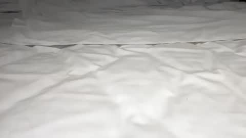 mark_nips02 online show from 23, 2, 2026