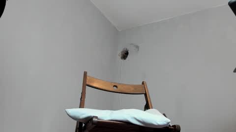 Snapshot of markwaynescr chatting on 16, 10, 2025 MARK online show from 16, 10, 2025