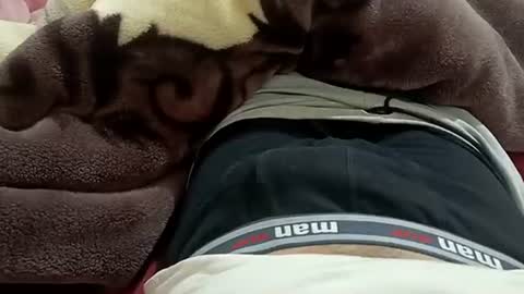 Snapshot of marocreda33 chatting on 30, 1, 2025 marocreda33 online show from 30, 1, 2025